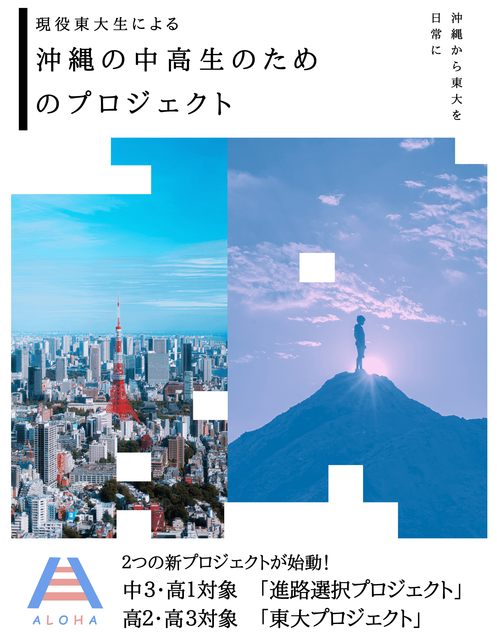 東大プロジェクトのポスター
